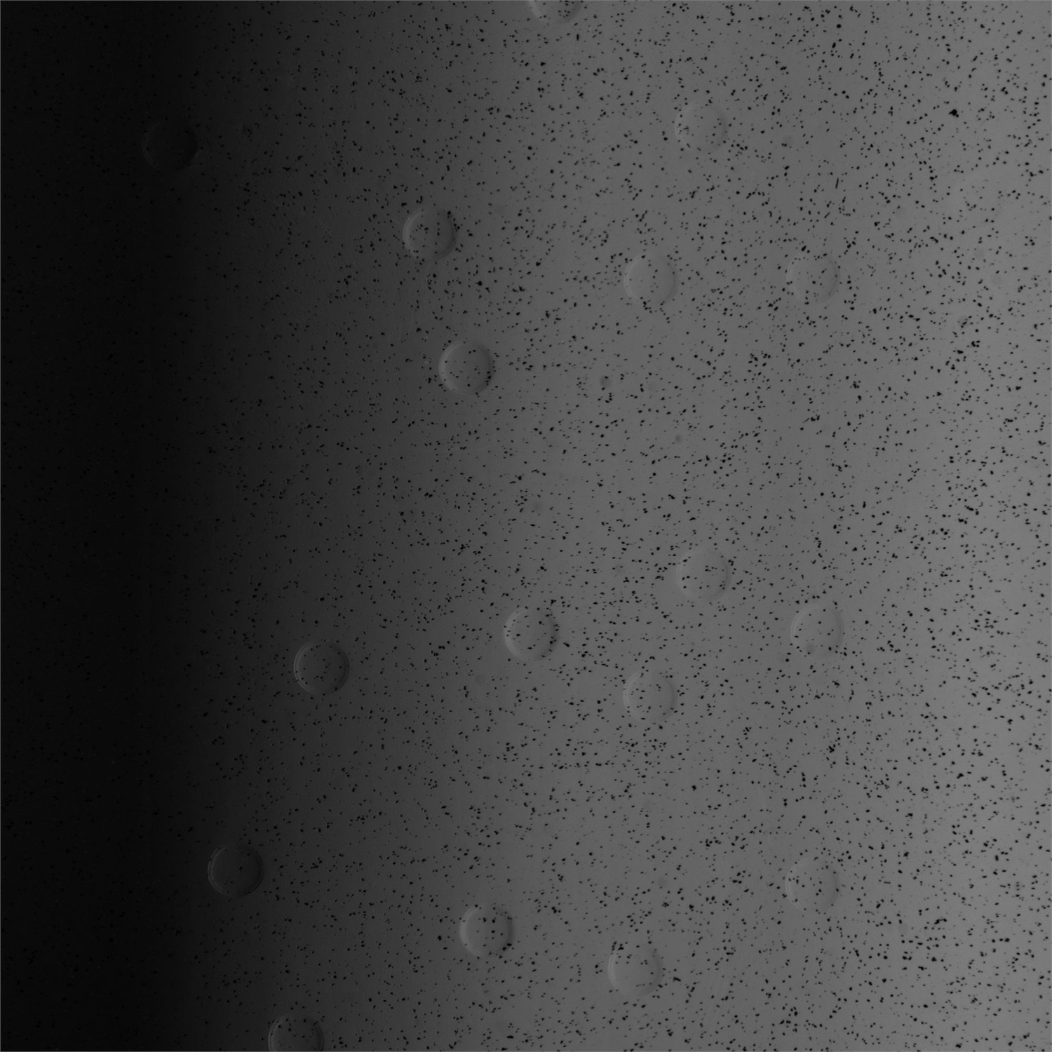 NiSi Black Magic Diffusion - Filtro Magnetico Protettivo 82mm 1/4 per Sistema JetMag Pro