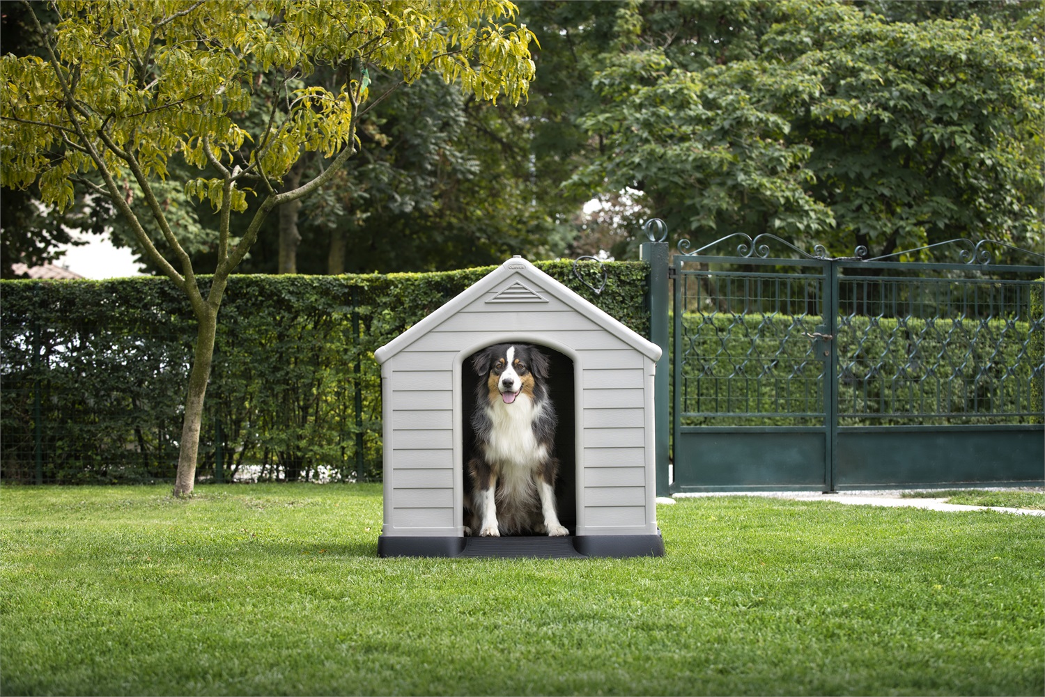 Keter Cuccia per Cani in Resina Beige 99x95x99 cm - Resistente alle Intemperie, Facile da Pulire, Pavimento Rialzato