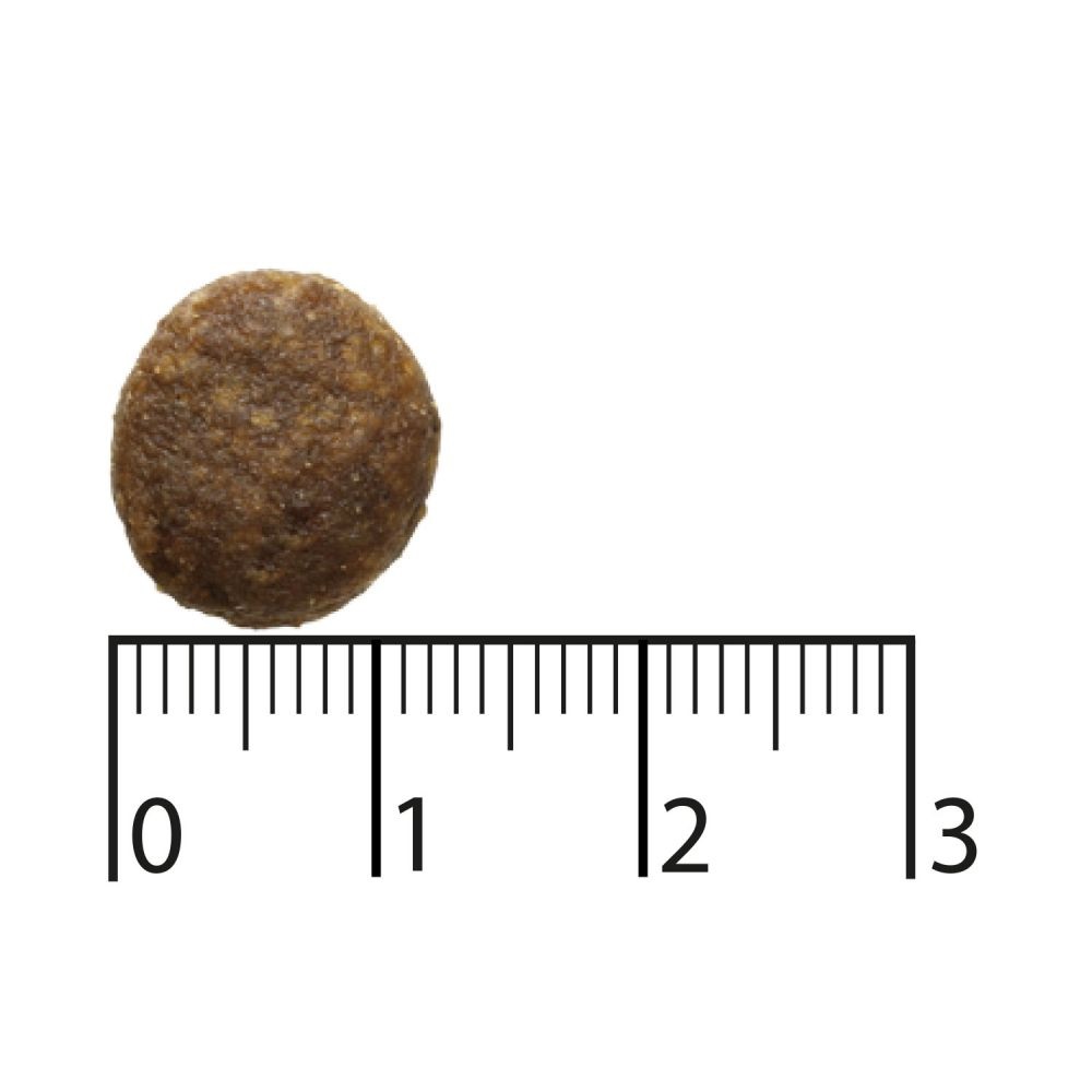 Bozita Dog Purely Adult Active Grain Free Cibo Secco per Cani con Renna e Pollo - 2,5 kg