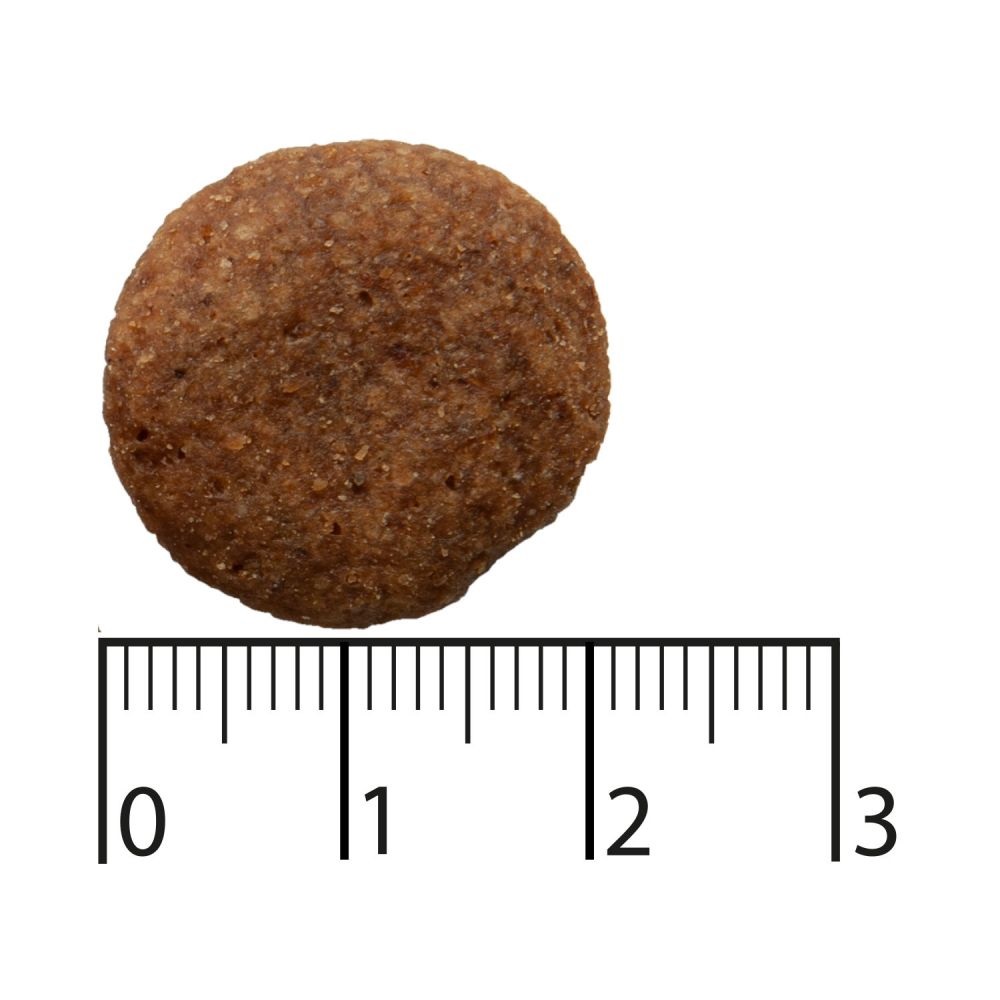 Bozita Cibo Secco per Cani Adulto 11 kg - Manzo e Salmone, Senza Cereali, per Razze di Taglia Grande