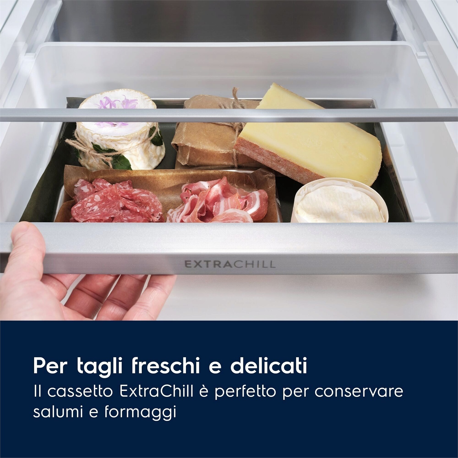 Electrolux LNT7MC36X Frigorifero Combinato Libera Installazione 362 L C Acciaio Inox con GreenZone e Twintech Total No Frost
