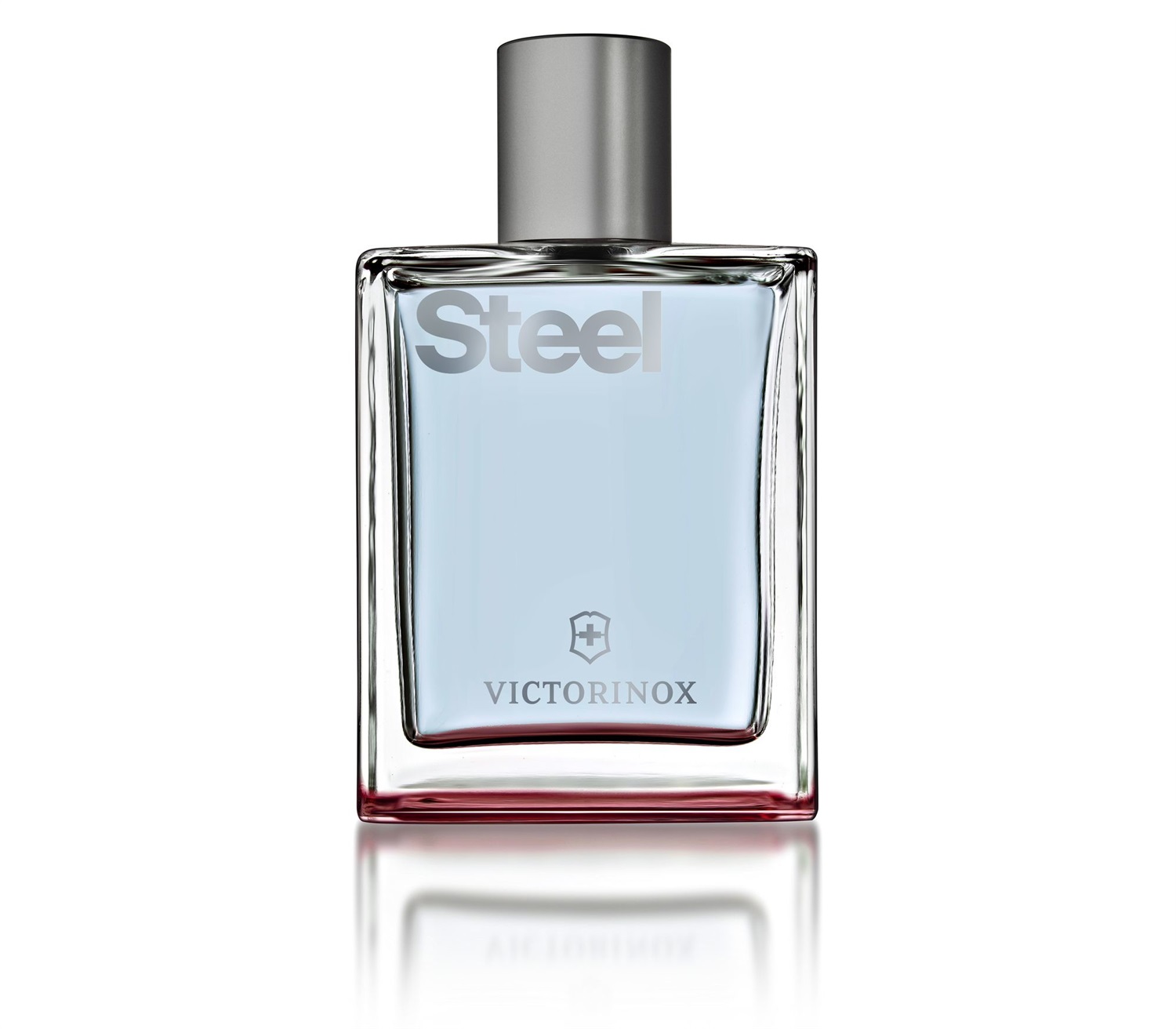 Victorinox Steel - Acqua da toeletta da uomo in spray, 100 ml con note di foglie di viola, frutti rossi e accordo acquatico