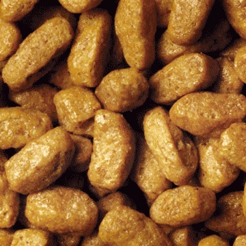 Purina Pro Plan Sterilised Adult Renal Plus Crocchette per Gatti 3 kg Ricco in Coniglio - Alimento Secco per Gatti Adulti Castrati