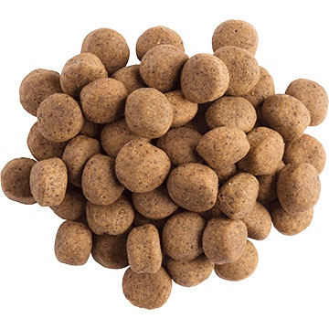 Purina Pro Plan Veterinary Diets DRM Dermatosis - Cibo secco per cani 3 kg, supporto per la funzione dermica e trattamento della perdita di pelo