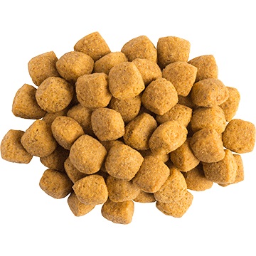 Purina Pro Plan Veterinary Diets EN Gastrointestinal 1,5 kg - Cibo secco per cani, supporto per disturbi intestinali e insufficienza pancreatica