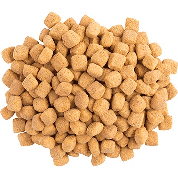 Purina VETERINARY DIETS Feline OM Obesity Management cibo secco per gatti 1,5 kg Adulto