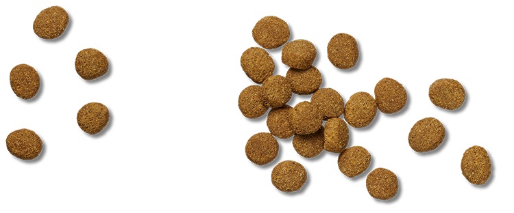 Purina Pro Plan Veterinary Diets JM Joint Mobility Crocchette per Cani - 12 kg, Riso e Salmone