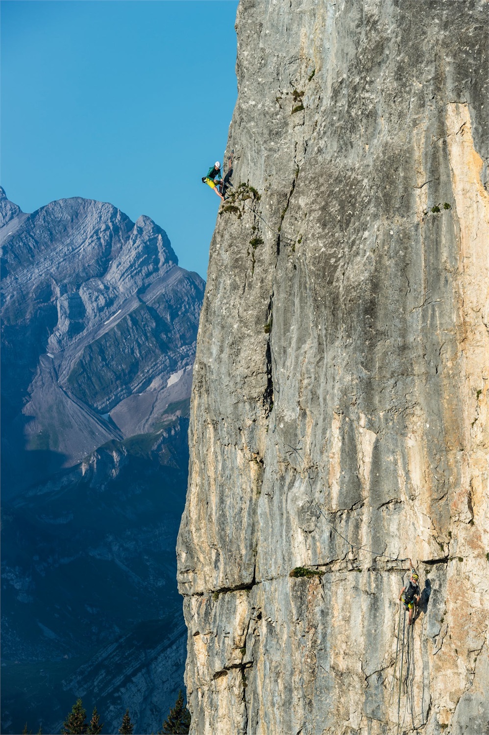 Mammut Classic HMS Twistlock Plus Moschettone A Forma di Pera in Alluminio Argento con Chiusura Twist-Lock e Sicurezza Automatica