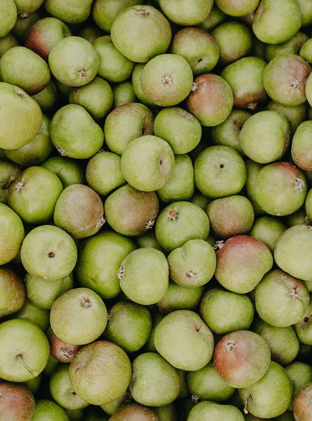 RAUSCH Shampoo Anti Inquinamento Mela Svizzera 200 ml - Con estratti di mela svizzera, erba d'orzo e ortica, privo di silicone e vegan