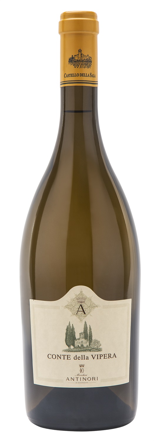 Antinori Conte della Vipera 2023 - Vino Bianco Umbria IGT - 75 cl - Sauvignon Blanc e Sémillon