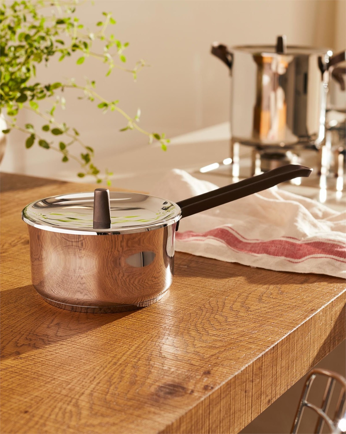 Alessi Edo PU105/16 - Casseruola a Manico Lungo in Acciaio Inox con Rivestimento in PVD, Diametro 16 cm