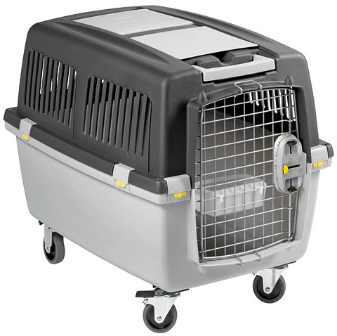 Kerbl Trasportino Gulliver 4 - IATA, 72 x 51 x 51.6 cm, Grigio, per piccoli cani e gatti