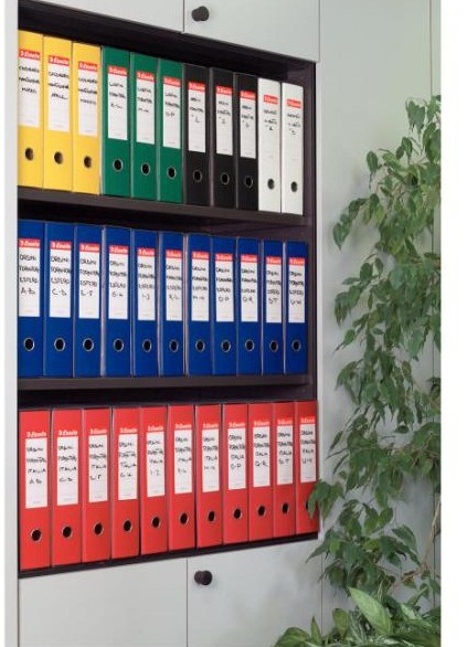 Esselte G55 Eurofile Registratore A4 Blu - Dorso 8 cm, Capacità fino a 500 fogli, Meccanismo a leva multiuso