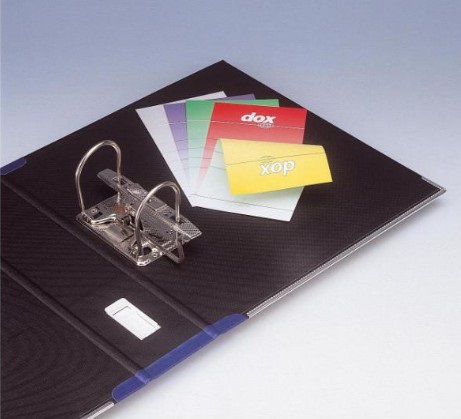 Rexel Esselte Dox 2 Raccoglitore a Leva Grigio Chiaro - Dorso 8 cm - Formato Protocollo 23x34 cm - Meccanismo a Leva con Linguella di Estrazione Resistente