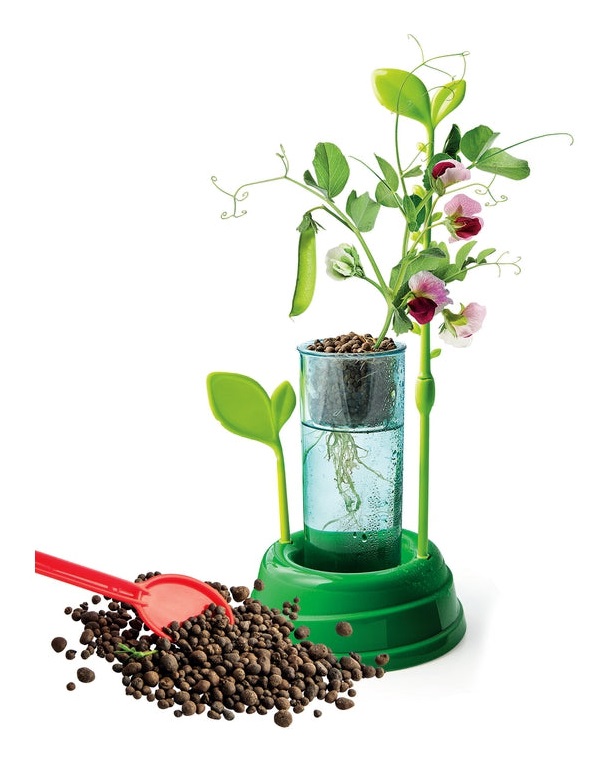 Clementoni 19377 - Gioco Scientifico La Botanica con Vaso Idrocoltura, Orto per Bambini, Piante da Coltivare, Laboratorio Scientifico, Adatto a 6 Anni, Made in Italy