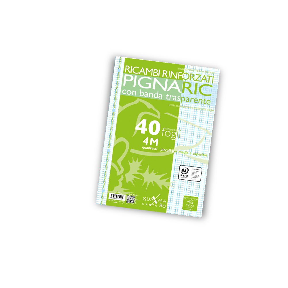 Pigna Ricambi Pignaric A4 Rinforzati 80 g/m² 4 mm - 40 Fogli con Banda Rinforzata