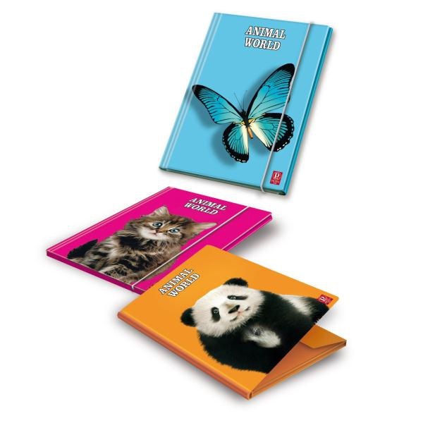 Pigna Cartella Portadocumenti 3 Lembi con Elastico Monocromo - Formato 26x34,7 cm, Pacco da 6 Pezzi