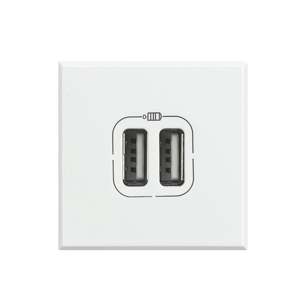 BTicino HD4285C2 Caricatore USB Bianco 5V 1500mA con 2 Prese per Ricarica Rapida
