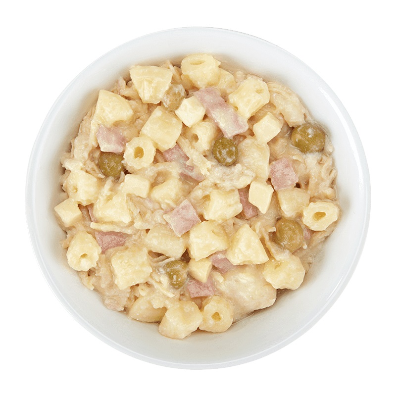 Schesir Taste The World Pollo con Carbonara - Alimento Umido Completo per Cani Adulti - 150 g