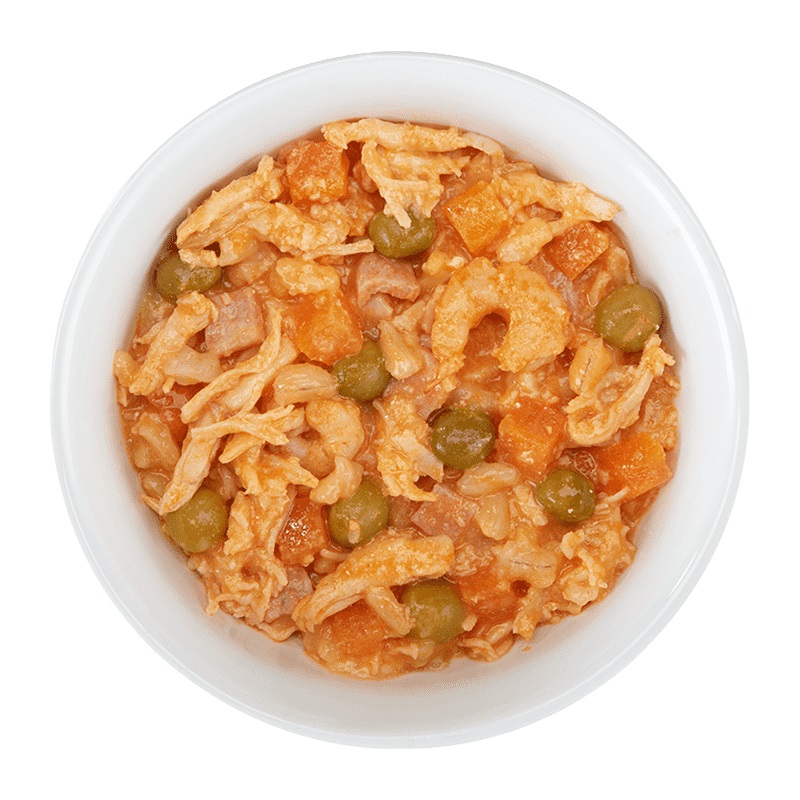 Schesir Taste the World - Alimento Umido per Cani Adulti con Pollo, Riso Integrale, Gamberi e Prosciutto - 150 g