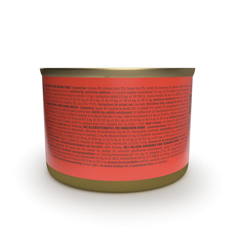 Schesir Taste the World - Cibo Umido per Cani Adulto con Pollo, Riso Integrale e Ortaggi - Asian Stir Fry - Lattina da 150 g