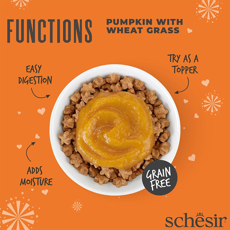 Schesir Alimento Complementare per Gatti - Mousse Funzione Digestiva con Zucca e Erba di Grano - 40 g