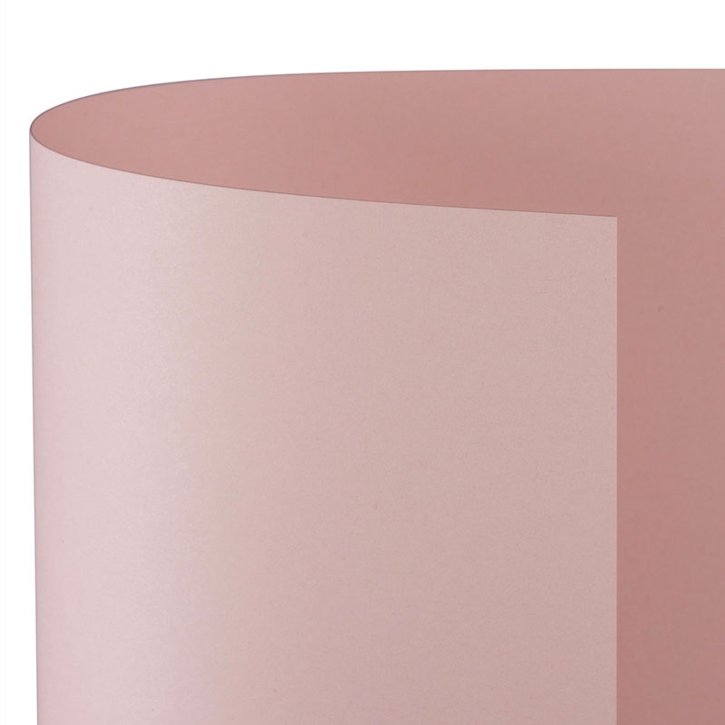 Favini Cartoncino Bristol Rosa 200g/m² 70x100cm - Blister da 10 Fogli con Superficie Levigatissima