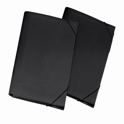 Lebez 2554-N Portadocumenti a Soffietto in Polipropilene Nero A4 con 13 Scomparti e Targhette Indicatrici