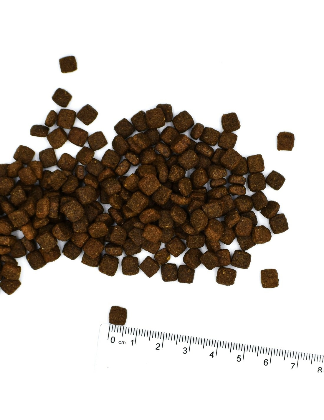 Monge 8009470012089 cibo secco per gatti 1,5 kg Adulto Tonno