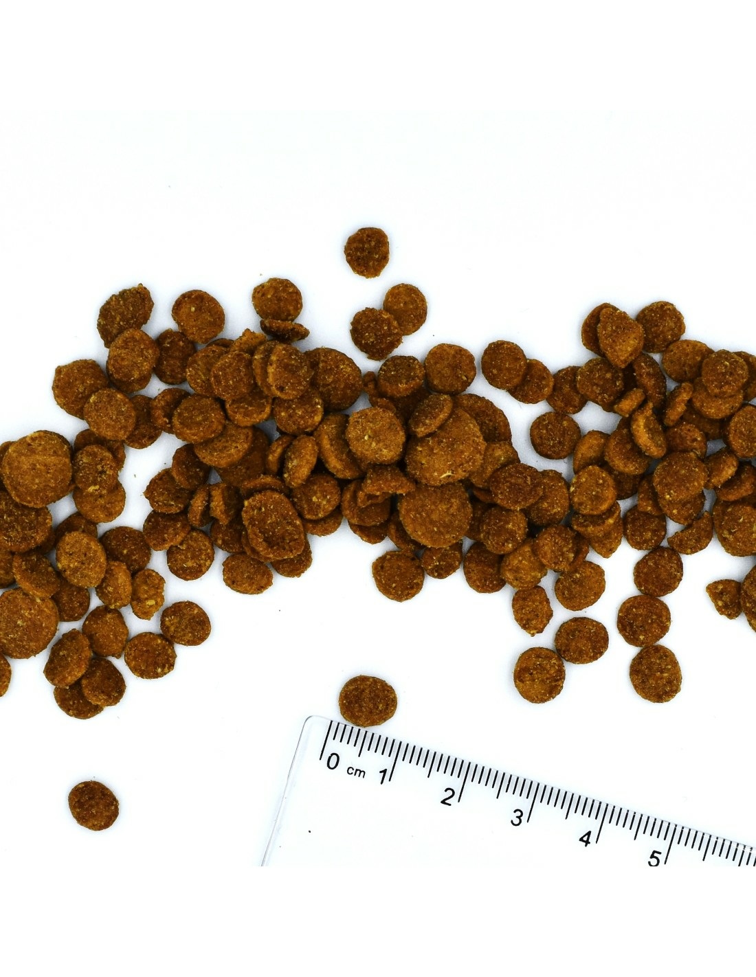 Monge 8009470056182 cibo secco per gatti 10 kg Adulto Anatra