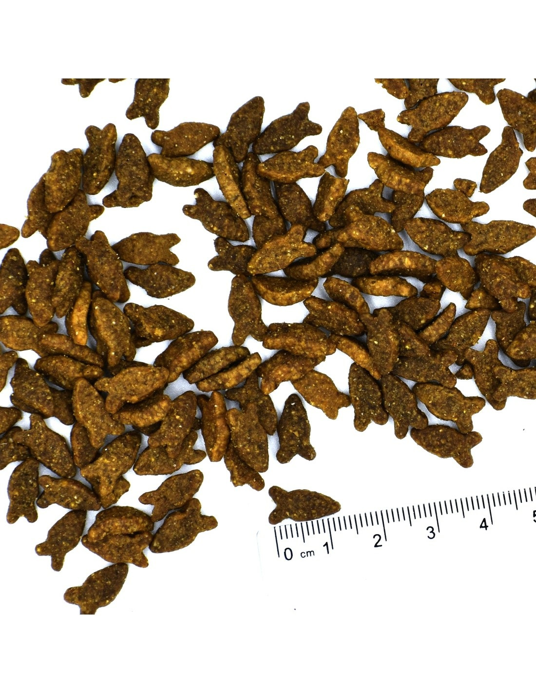 Monge 8009470056298 cibo secco per gatti 10 kg Adulto Salmone