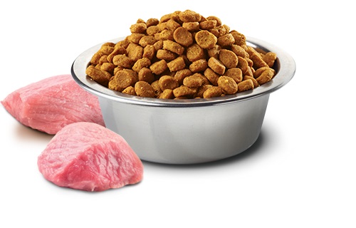 Farmina Pet Food 8010276033635 cibo secco per cani 2,5 g Adulto Pollo
