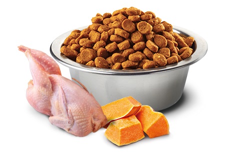 Farmina N&D Pumpkin Adult Quaglia, Zucca e Melograno - Cibo Secco Completo per Gatti Adulti - 5 kg