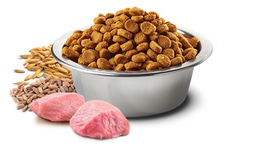 Farmina Pet Food CHICKEN & POMEGRANATE PUPPY MEDIUM & MAXI 2,5 kg Cucciolo Pollo