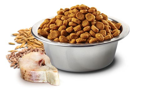 Farmina N&D Ocean Adult Medium Maxi Crocchette per Cani con Merluzzo, Farro, Avena e Arancia - 12 Kg