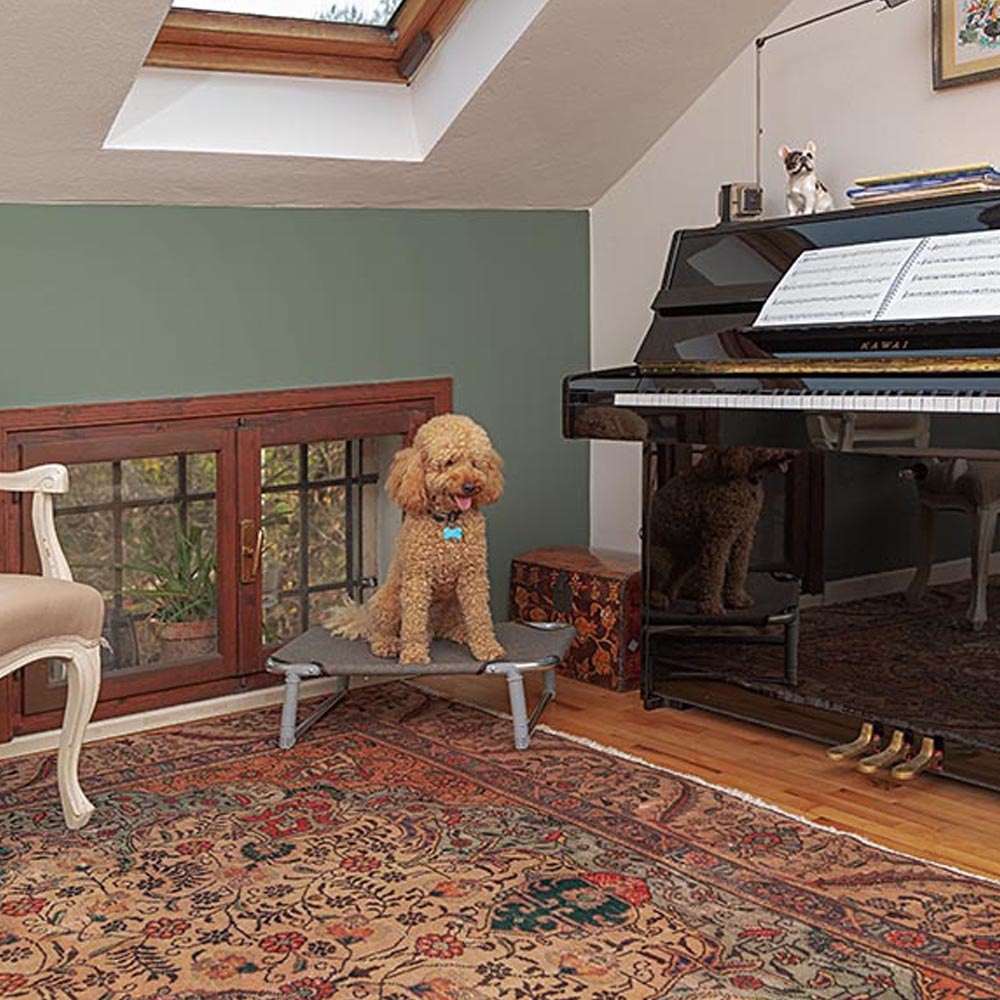 Ferplast Dream 60 Brandina Pieghievole per Cani in Alluminio e Tessuto Sintetico - Dimensioni 62 x 44 x h 18 cm, Colore Tortora