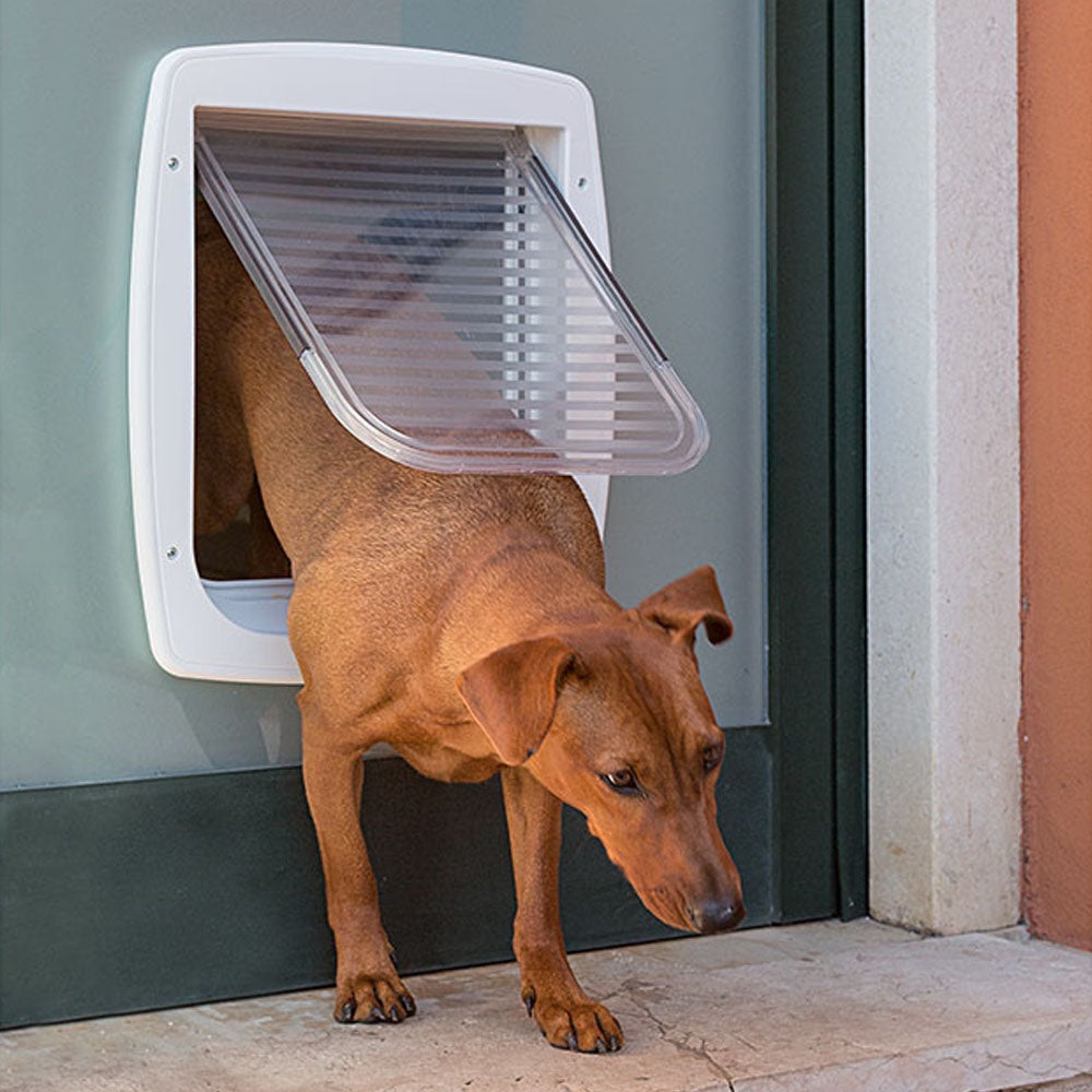 Ferplast Swing 11 Bianca - Porta Basculante per Cani di Taglia Media e Gatti - 31 x 9,6 x h 38,4 cm - Sistema di Chiusura a 4 Vie