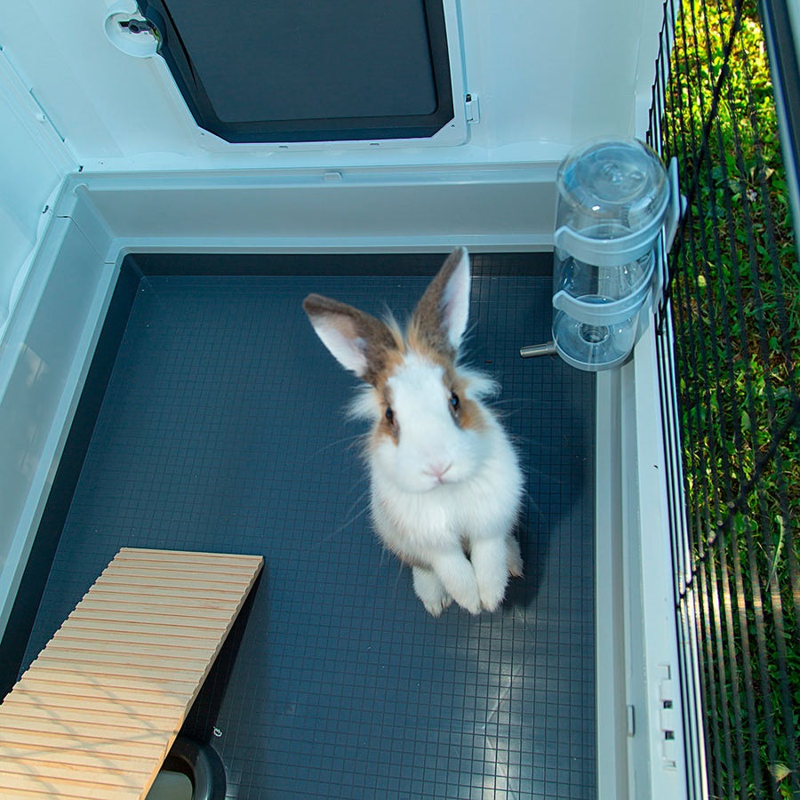 Ferplast Gabbia per Conigli GRAND LODGE 140 PLUS - Conigliera da Esterno 2 Piani con Casetta e Abbeveratoio, 134 x 73 x h 117 cm, in Plastica