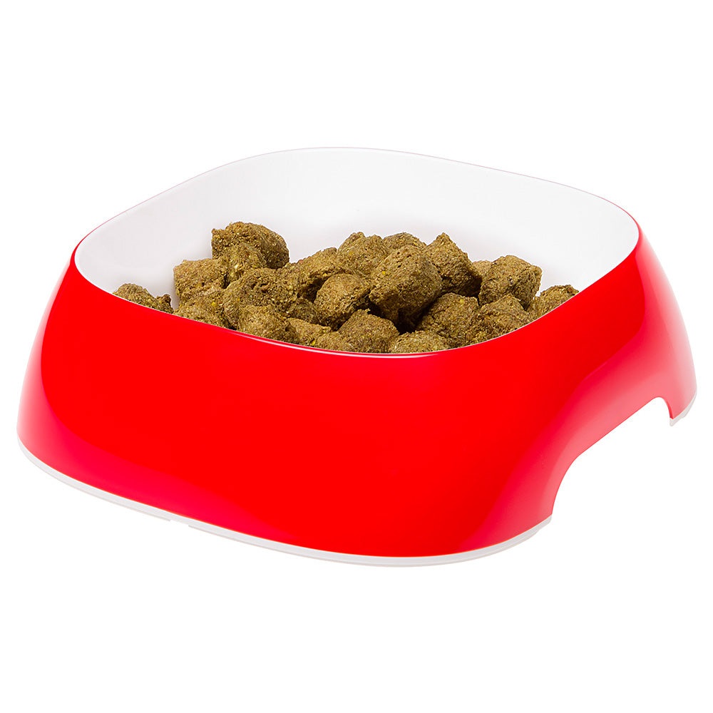 Ferplast Glam Ciotola Universale per Cani e Gatti - 1,2 litri, Plastica Robusta, Design Antiscivolo, Facile da Pulire