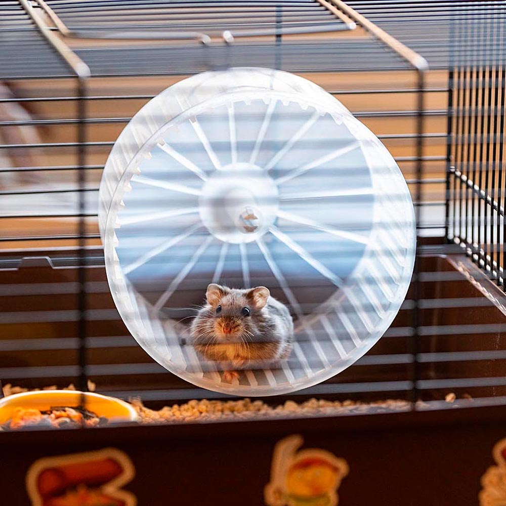 Ferplast Criceti 9 Pirates - Gabbia per Criceti Personalizzabile con Adesivi, Ambientazione Pirati, Dimensioni 46x29,5x23 cm, Metallo Verniciato e Plastica