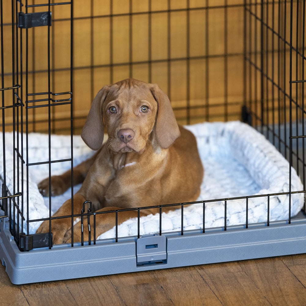 Ferplast Superior 90 Box Pieghevole per Cani - 92 x 58,5 x h 62,5 cm, Metallo con Separatore e Doppia Serratura