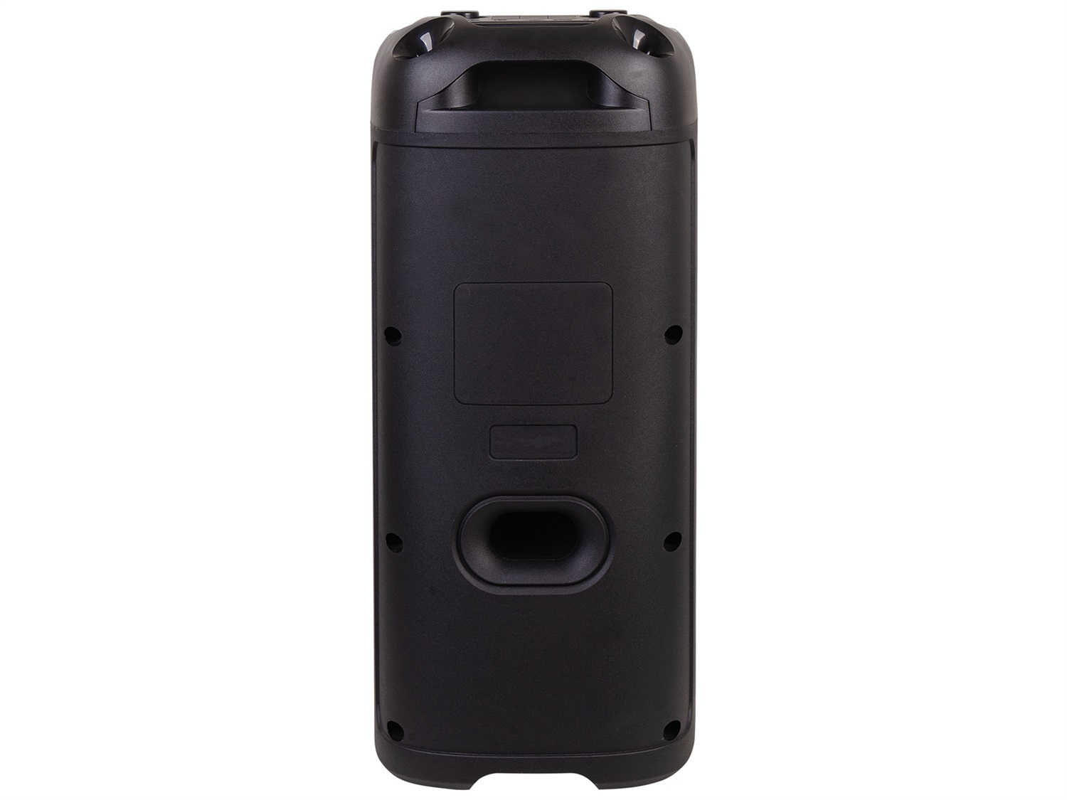 Trevi XFest XF 650 KB Altoparlante Wireless Portatile 100W con Microfono Dinamico, Ingressi USB, Micro SD e AUX-IN, Funzione TWS, Ideale per Feste e Karaoke, Colore Nero