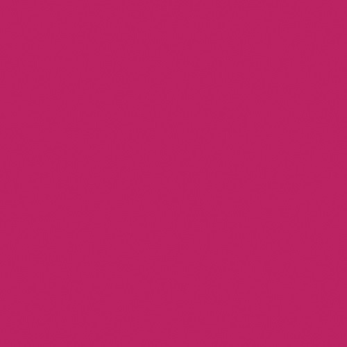 Naj-Oleari Oleo Gel Nail Lacquer 17 Lampone - Smalto Effetto Gel 8 ml con Olio di Avocado Nutriente