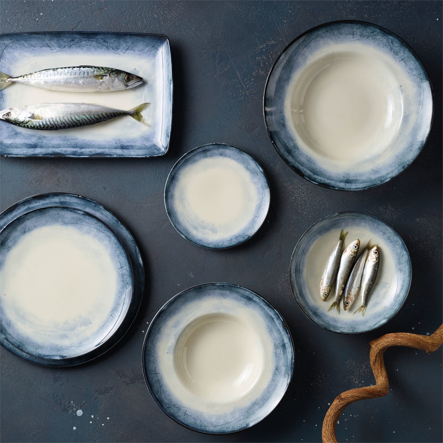 ARTHUR KRUPP Piatto Pasta Porcellana Shade Sea 27cm - Design Elegante con Sfumature Azzurre