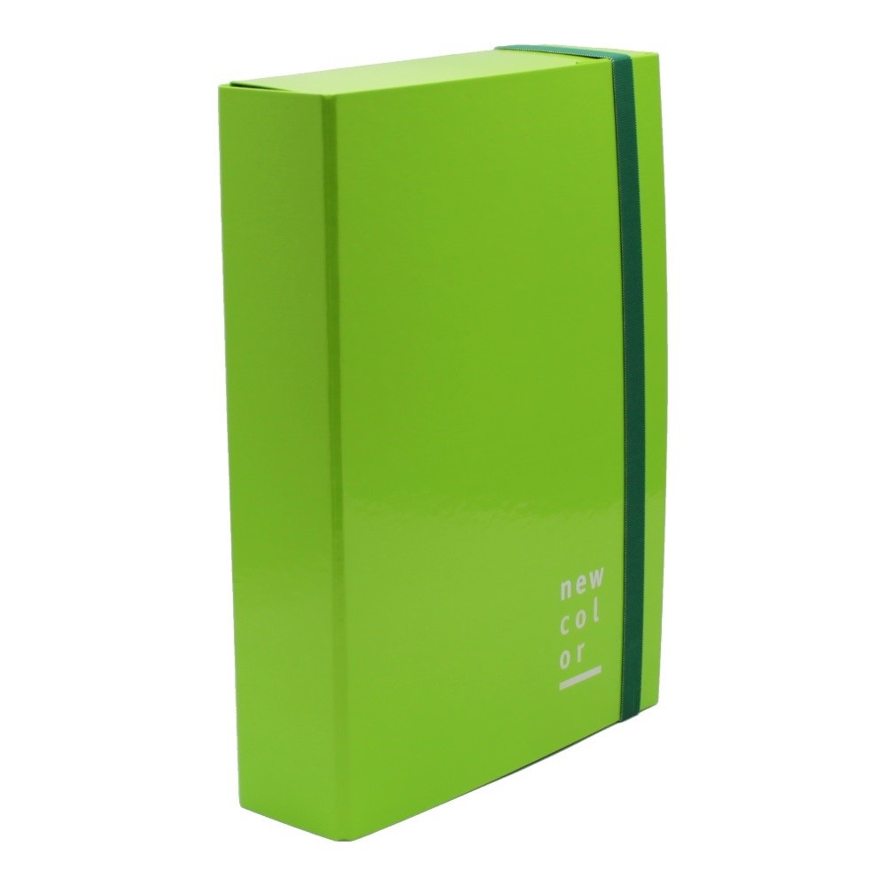 Brefiocart New Color Cartella a 3 lembi Verde Chiaro 25x35 cm con elastico piatto e dorso 10 cm