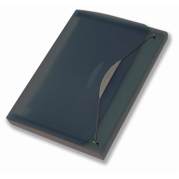 Fellowes Leonardi 40331 Cartella a Soffietto Estensibile A4 con 12 Scomparti e 24 Etichette, Polipropilene Traslucido Grigio Fumè