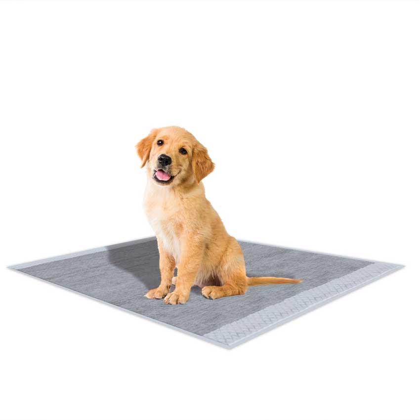 Croci Super Nappy - Tappetini Igienici Ultra Assorbenti per Cani 57x54 cm, 30 pezzi, Antistrappo e Antiodore con Carbone Attivo