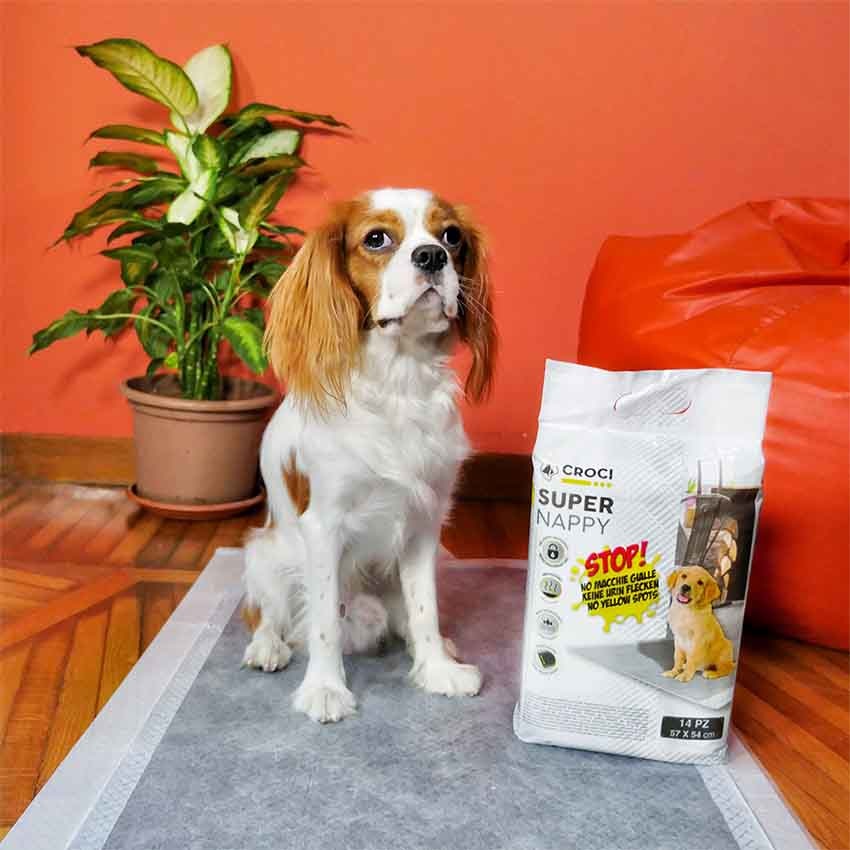 Croci Super Nappy - Tappetini Igienici Ultra Assorbenti per Cani 57x54 cm, 30 pezzi, Antistrappo e Antiodore con Carbone Attivo