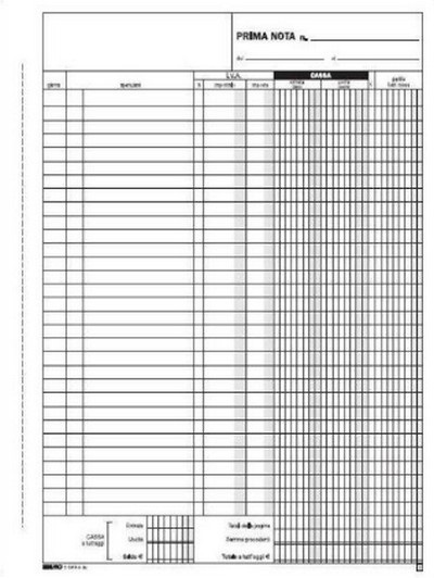 Edipro Blocco Prima Nota Cassa Entrate/Uscite/Iva - 50 Fogli Autoricalcanti - Formato 31 x 21 cm - 2 Copie Ricalcanti