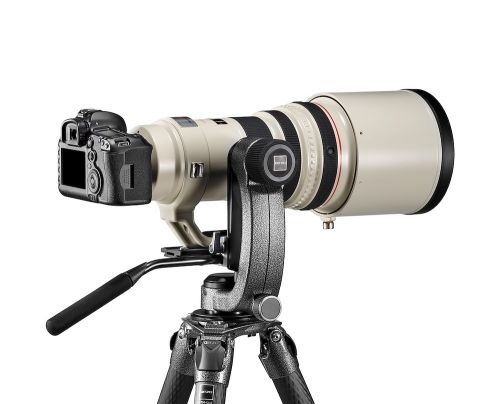 Gitzo GHFG1 Testa di Supporto Fluida per Treppiede - Nero, Alluminio e Magnesio, 1/4